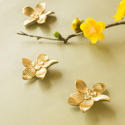 Petal Knobs Brushed Gold Cabinet Knob, Dresser Drawers Cute Handle Hardware Door Pulls, 4 Pack Flower Knobs – for Furniture, Vanity