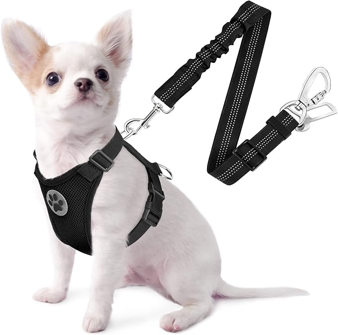 SlowTon Dog Seat Belt Harness for Car, Dog Car Harness Adjustable Mesh Breathable & Dog Seatbelt Safety Tether with Elastic Bungee for Small Medium Large Pets(Black, Double Clip, XXS)-Mewly Pet