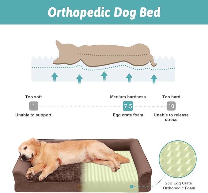Orthopedic Dog Beds for Medium Size Dog, Pet Couch for Dog Cat, Supportive Foam Bolster Sofa with Waterproof Lining Cover, Anti-Slip, Comfort, Washable, 30x20x7.5 in, U Shape, Brown-Mewly Pet