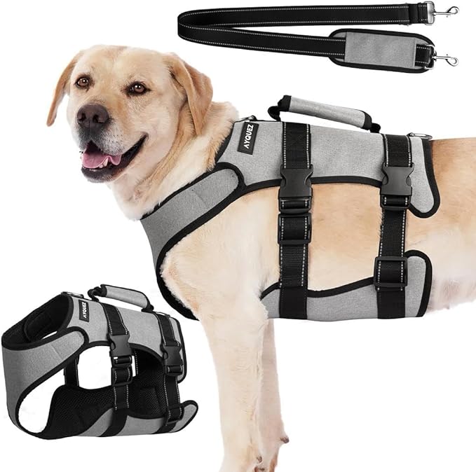 Ayquez Dog Lift Harness with Storage and Transport Bag, Dog Harness with Handle for Lifting & Hip dysplasia, arnés para Perros pequeños, pechera para Perros (Gray, XXL)-Mewly Pet