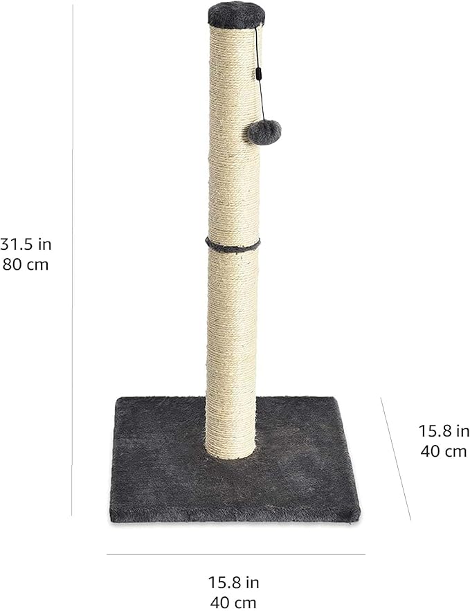 Amazon Basics Cat Scratcher - Indoor Classic Single Cat & Kittens Scratching Post, Medium (31.5"H) - Grey-Mewly Pet
