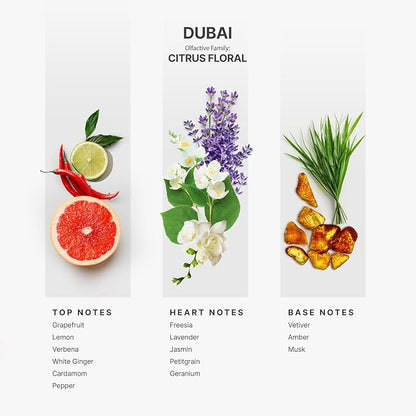 AromaPlan Hotel Scents Dubai 16 Fl Oz (473ml), Home Luxury Aroma & Hotel Diffuser Oil- Hotel Diffuser Oil for Aromatherapy- USA Made, Bigger Bottle, Bolder Aroma & Longer Lasting