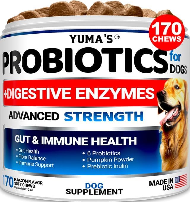 Probiotics for Dogs and Digestive Enzymes - 170 Dog Probiotics Chews - Dog Probiotic - Anti Diarrhea, Upset Stomach & Gas Relief, Canine Prebiotic - Pet Fiber Supplement - Bacon Flavor-Mewly Pet