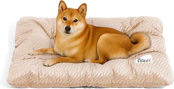 FUNNY FUZZY 2 in 1 Dog Crate Bed Pad for Large Sized Dog, Washable Reversible Pet Soft Mats,Durable Fluffy Kennel Mattress,Indoor Cats, 35" × 23", Beige-Mewly Pet