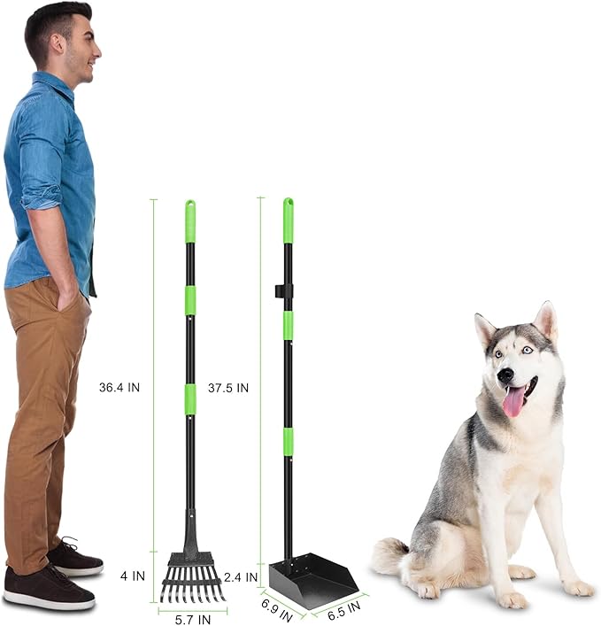 Non-Breakable Pooper Scooper, Dog Pooper Scooper Tray & Rake Set with Adjustable Stainless Steel Long Handle for Large Medium Small Dogs (Green)-Mewly Pet