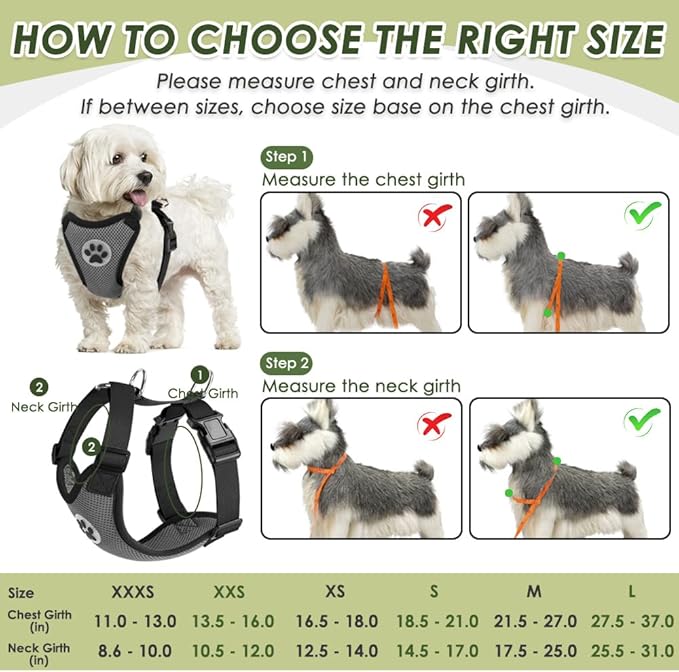 SlowTon Dog Seat Belt Harness for Car, Dog Car Harness Adjustable Mesh Breathable & Dog Seatbelt Safety Tether with Elastic Bungee for Small Medium Large Pets(Grey, Double Clip, XS)-Mewly Pet