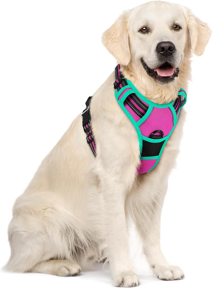 rabbitgoo Dog Harness No Pull with 2 Leash Clips, Adjustable Soft Padded, Reflective Oxford No Choke Pet Vest with Easy Control Handle for Large Dogs, Hot Pink & Turquoise, XL-Mewly Pet