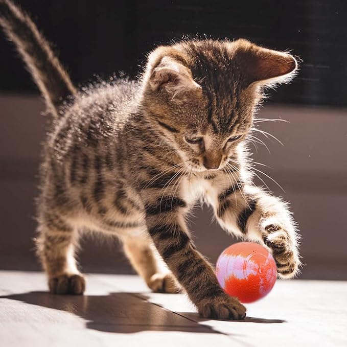 PET SHOW 20Pcs 1.2 Inch Cat Toy Bouncy Balls Interactive Kitten Bouncing Ball for Indoor Cats Pet Birthday Gift Colorful Chase Rubber Ball with High Elasticity Boys-Mewly Pet