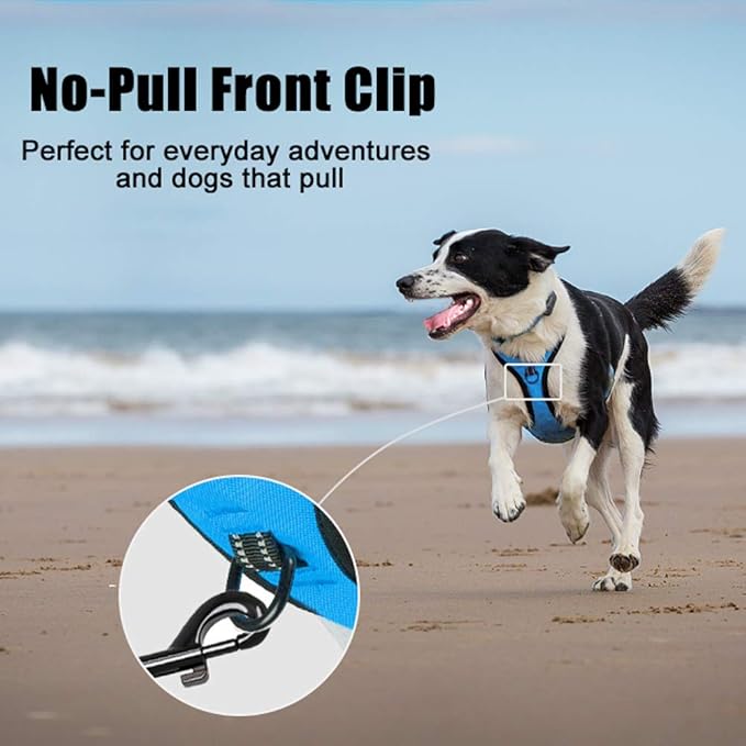 PoyPet No Pull Dog Harness, Reflective Comfortable Vest Harness with Front & Back 2 Leash Attachments and Easy Control Handle Adjustable Soft Padded Pet Vest for Small to Large Dogs (Blue,S)-Mewly Pet