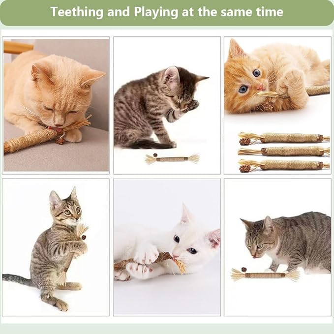 5 PCS Silvervine Sticks for Cats - Natural Cat Chew Toys for Teeth Cleaning, Kitten Teething & Aggressive Chewers-Mewly Pet