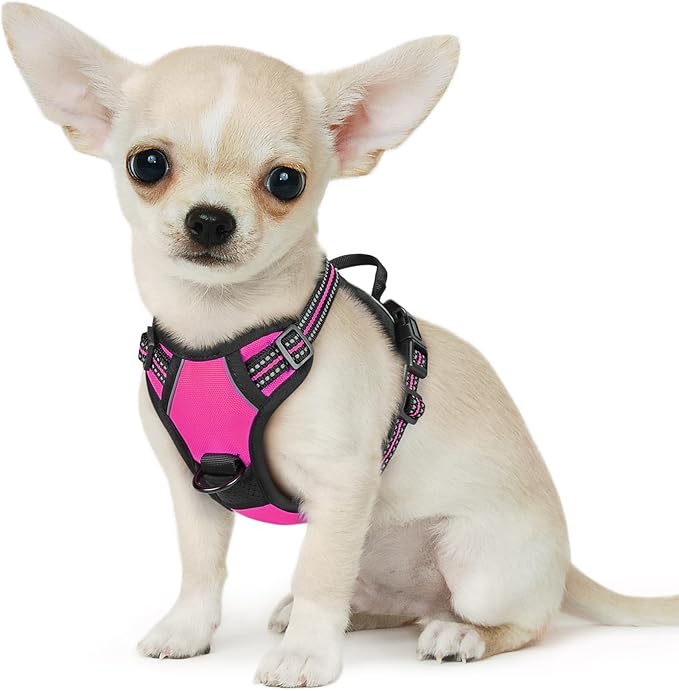 Eagloo Small Dog Harness No Pull, Service Vest with Reflective Strips and Control Handle, Adjustable and Comfortable for Easy Walking, No Choke Pet Harness with 2 Metal Rings, Rose Red, XS-Mewly Pet