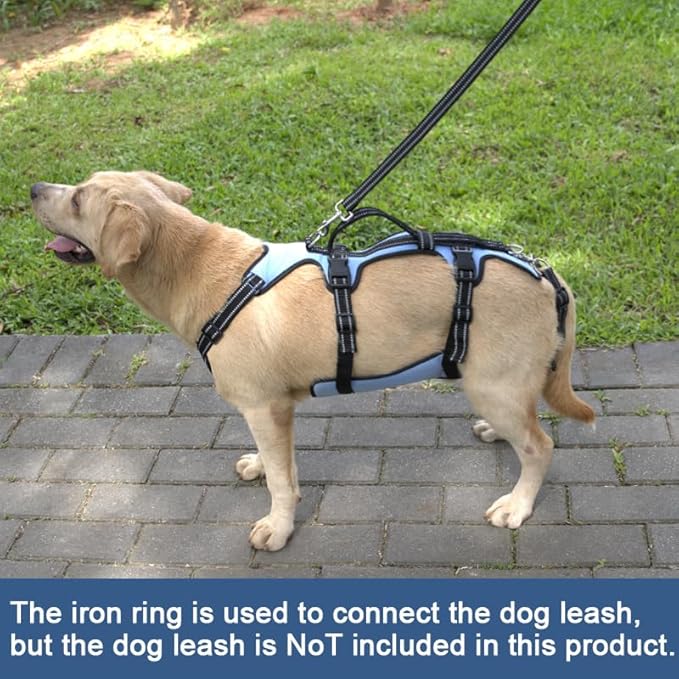 Coodeo Dog Lift Harness, Full Body Support & Recovery Sling, Pet Rehabilitation Lifts Vest for Old Dog with Arthritis Walk(Bule,L)-Mewly Pet