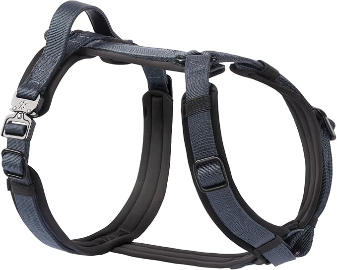 CLEPAWS Dog Harness for Large Dogs, No Pull Dog Harness Easy Walk with Metal Hardware, Ergonomic Y-Shaped Design, Soft Padding, Padded Handle, Durable High-Tensile Nylon (Nightfall, L)-Mewly Pet