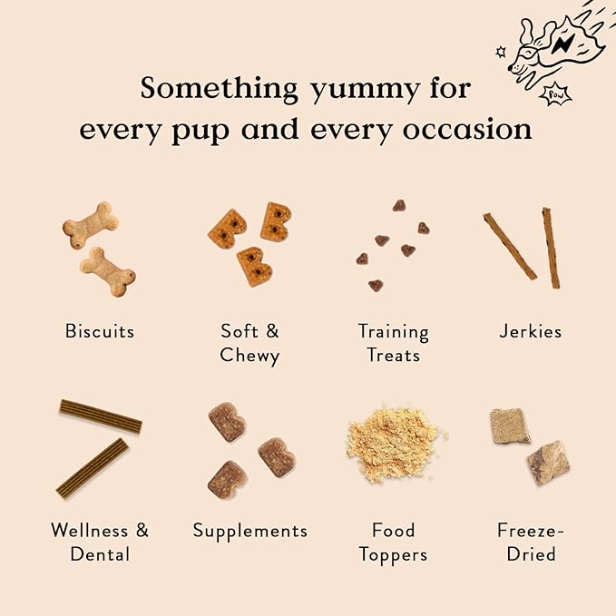 Bocce's Bakery Hip & Joint Supplement for Dogs, Daily Chews Made in The USA with Glucosamine, MSM, and Chondroitin, Supports Healthy Joints, Peanut Butter & Honey, 60 ct-Mewly Pet