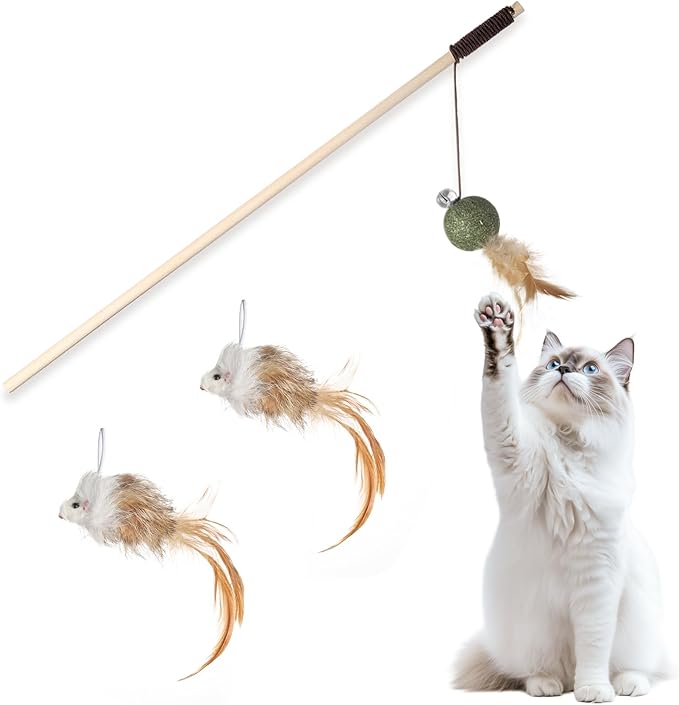 Cat Feather Toys with Catnip Ball, Feathers & Bell - 2 Replaceable Mouse Heads, Elastic Rope & Wooden Handle for Aggressive Kittens, Durable Bite-Proof Interactive Cat Teaser for Indoor Play-Mewly Pet
