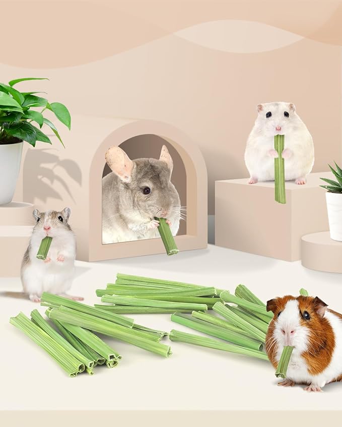 Bissap 25 PCS Guinea Pigs Chew Sticks, Natural Papaya Stems Bunny Chews Treats for Hamsters Chinchillas Small Animals Organic Molar Chewing Snack-Mewly Pet