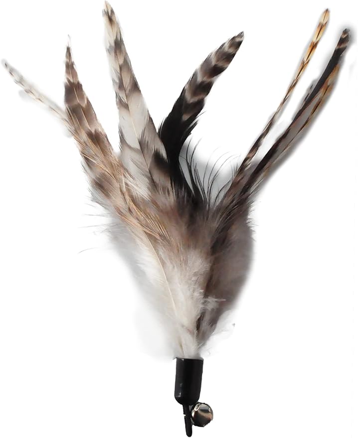 Cat Toys - No Chemical Dyeing Cat Feather Toys for Indoor Cats - Include Cat Wand and Natural Feather Refills-Mewly Pet