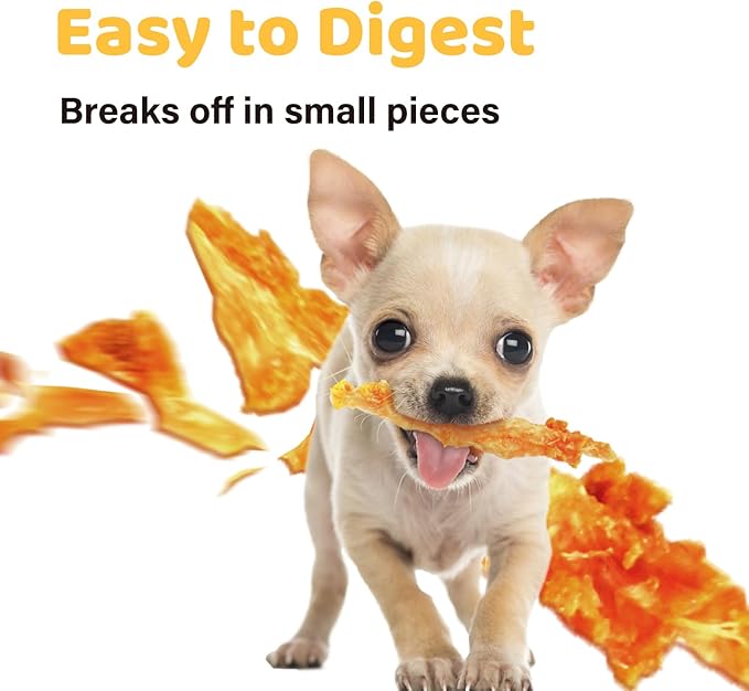 iPaw Turkey Tendons for Dogs, 100% Turkey and US Sourced Raw Material, Hypoallergenic, All Natural Human Grade Puppy Chew, Rawhide Alternative Dog Treats, 10 Unit/Box Bone (Large)-Mewly Pet