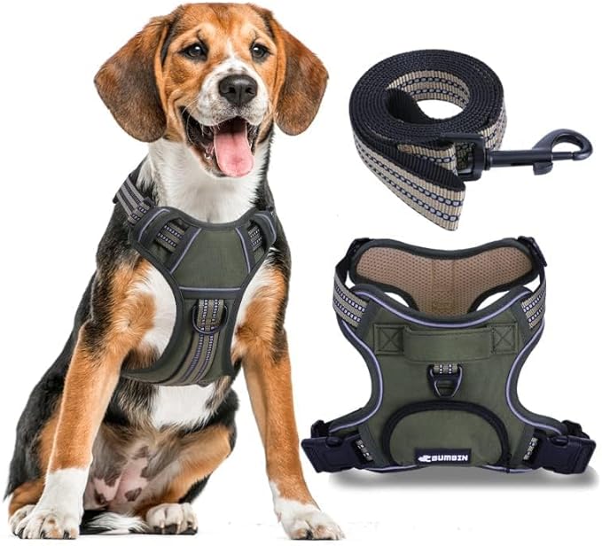 No Pull Dog Harness for Large Dogs, Adjustable No Choke Pet Vest with Dog Leash Fit Smart Reflective Pet Walking Harness for Training Easy Control Soft Handle Green L-Mewly Pet