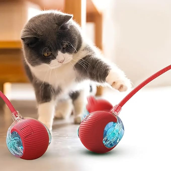 Interactive Cat Toys Ball, Newly Upgraded Automatic with Elastic Tail Rope and USB Charging. Stimulates Hunting Instincts and Promotes Exercise. Interactive Cat Toys for Bored Indoor Adult Cats-Mewly Pet