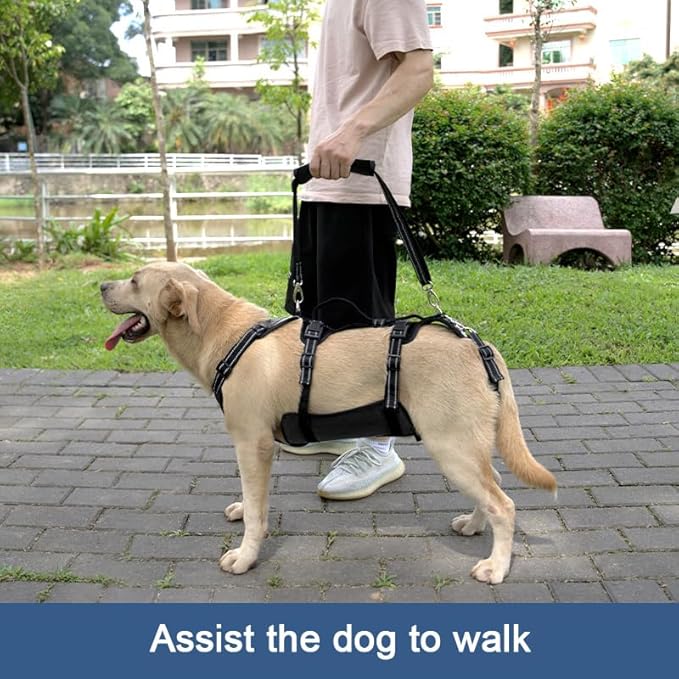 Coodeo Dog Lift Harness, Support & Recovery Sling, Pet Rehabilitation Lifts Vest Adjustable Breathable Straps for Old, Disabled, Joint Injuries, Arthritis, Paralysis Dogs Walk (Black,XL)-Mewly Pet