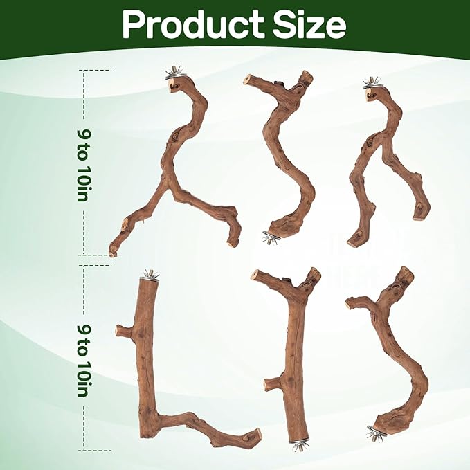 6-Piece Premium Bird Perch Stand with Natural Grape Wood Branch, Paw Grinding Fork, Chewing Stick, Cage Accessories for Parakeets, Budgies, Cockatiels, Finches, Lovebirds-Mewly Pet