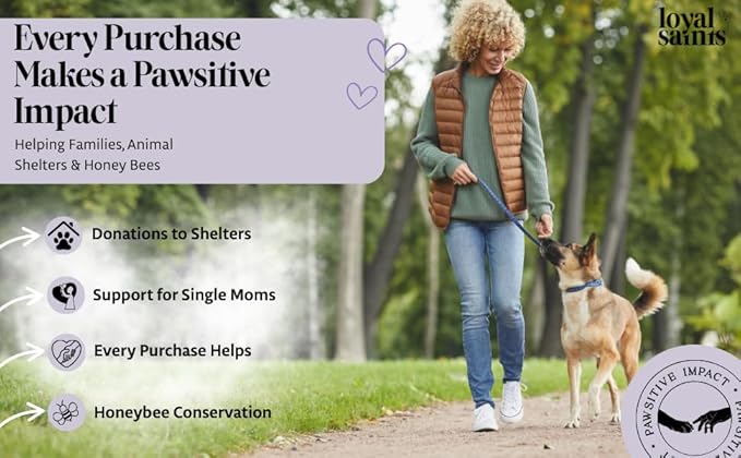 Freeze Dried Raw Dog Food - Premium Chicken Flavor with High Protein & Grain Free Dog Food for Small or Large Breeds and Picky Eaters - Versatile as Meal Topper, Pet Snack & Treats, 5 Oz-Mewly Pet