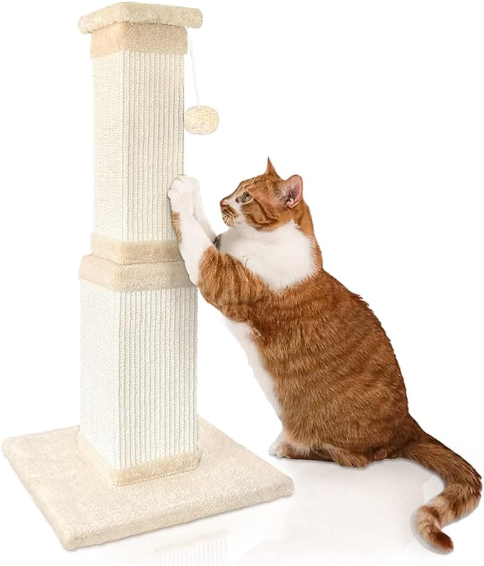 AGYM Cat Scratching Post, 32 Inch Cat Scratching Post for Large Cats, Scratching Posts for Indoor Cats Adults, Cat Scratch Post with Nature Sisal, Beige-Mewly Pet