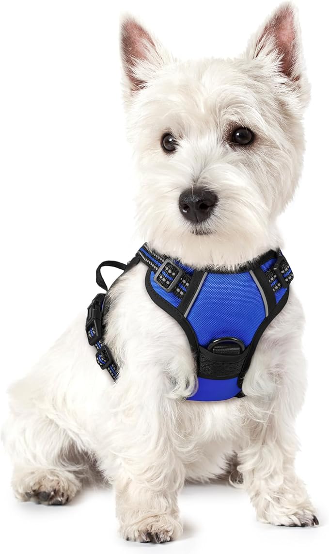 rabbitgoo Dog Harness No Pull with 2 Leash Clips, Adjustable Soft Padded, Reflective Oxford No Choke Pet Vest with Easy Control Handle for Puppy, Dazzling Blue,XS-Mewly Pet