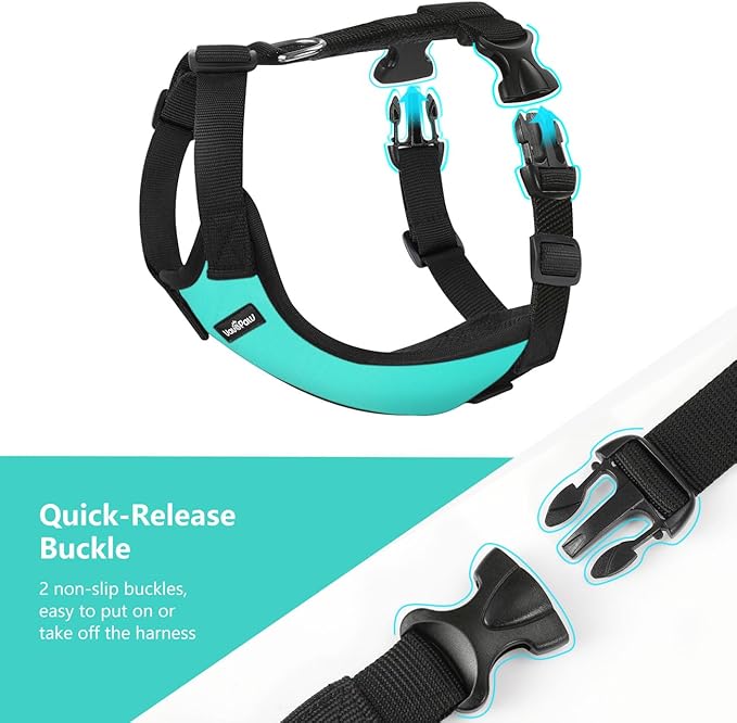 Dog Seat Belt, Safety Vest Dog Car Harness with Adjustable Buckle Dog Seat Belt for Vehicle Nylon Pet Safety Seat Belts Heavy Duty(XXL, Blue)-Mewly Pet