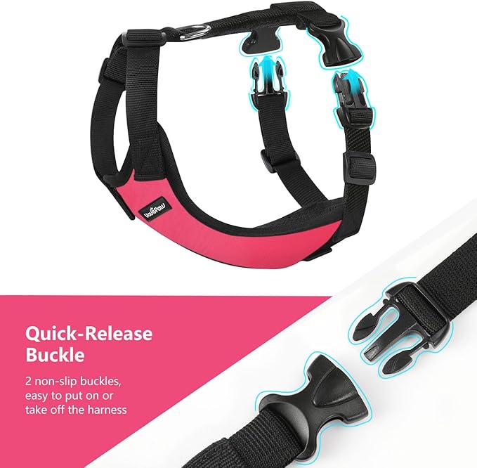 Dog Seat Belt, Safety Vest Dog Car Harness with Adjustable Buckle Dog Seat Belt for Vehicle Nylon Pet Safety Seat Belts Heavy Duty(XXL, Magenta)-Mewly Pet