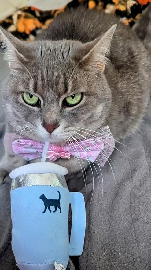 Kitty Cup Tumbler Cat Toy – Funny Cat Birthday Gifts with Catnip & Crinkle Paper, Cute Girl Kitten Toys (Chambray Blue)-Mewly Pet