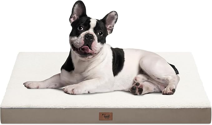 Medium Dog Bed for Medium/Small Dogs, Orthopedic Dog Beds with Removable Washable Waterproof Cover, Egg Crate Foam Pet Bed Mat, Khaki White-Mewly Pet