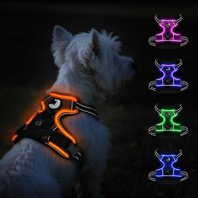 Taglory Light Up Dog Harness, Rechargeable No Pull Dog Vest with 3 Lightning Modes, Reflective Dog Harness with 2 Leash Clips & 4 Adjustable Slide Strips for Small Dogs, Orange-Orange, S-Mewly Pet