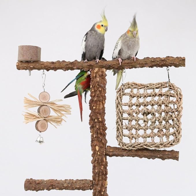 Natural Wood Parrot Stand - Ideal Toy & Accessory for Parakeets, Canaries, Cockatiels, Conure, Lovebirds - Bird Perch Stand with Removable Tray Climbing Net Chewing Toys- Perfect Pet Birds Playstand-Mewly Pet