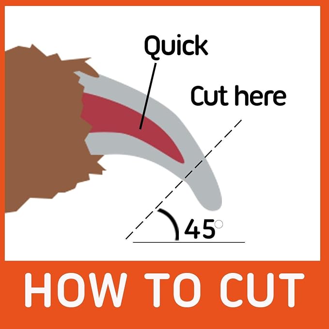 GoPets Pet Nail Clipper Bundle for Dogs and Cats with Large and Small Nail Trimmer with Free Nail File Grinder with Quick Guard and Angled Blades for Safety 2 Nail Cutter Bundle-Mewly Pet