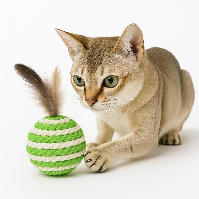 Ball for cat with Feathers - Balls for Cats– Natural Toy for Indoor Cats – Eco-Friendly, Durable, Interactive Play Balls for Kittens – Pet-Safe Chew & Scratch Toys (Green)-Mewly Pet