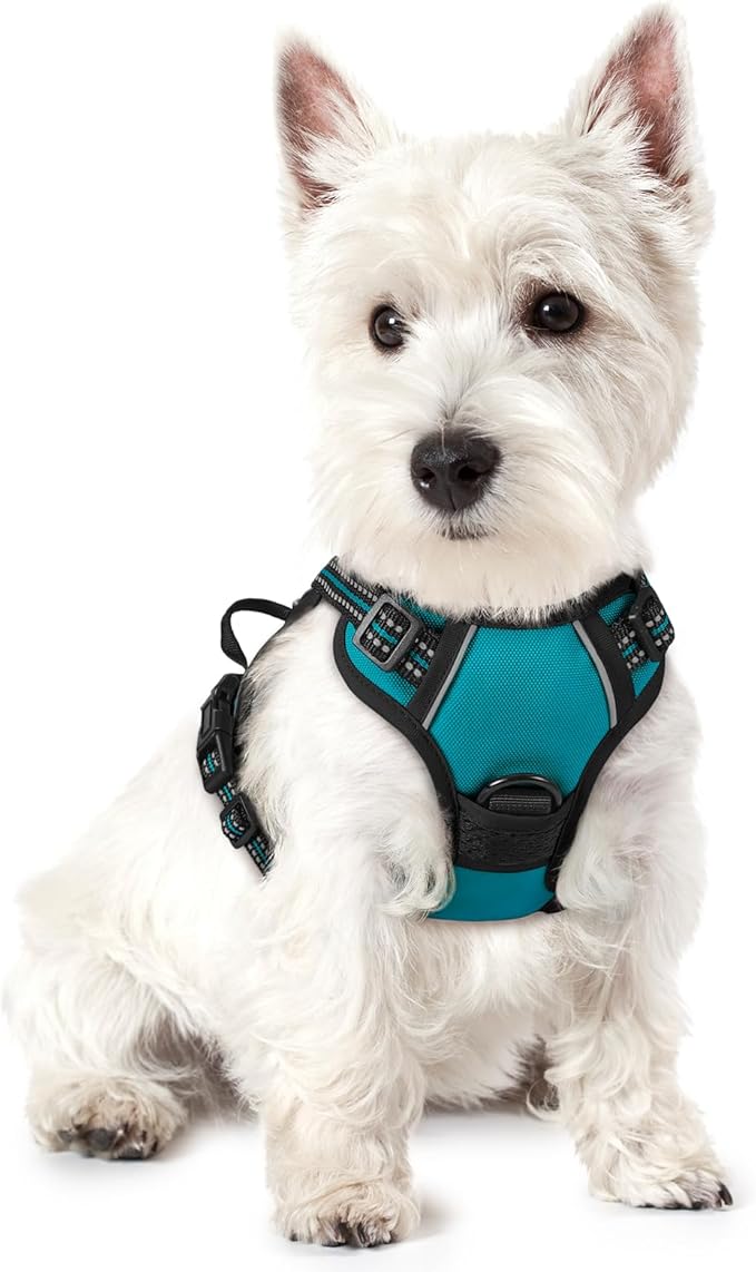 rabbitgoo Dog Harness No Pull with 2 Leash Clips, Adjustable Soft Padded, Reflective Oxford No Choke Pet Vest with Easy Control Handle for Puppy, Teal, XS-Mewly Pet