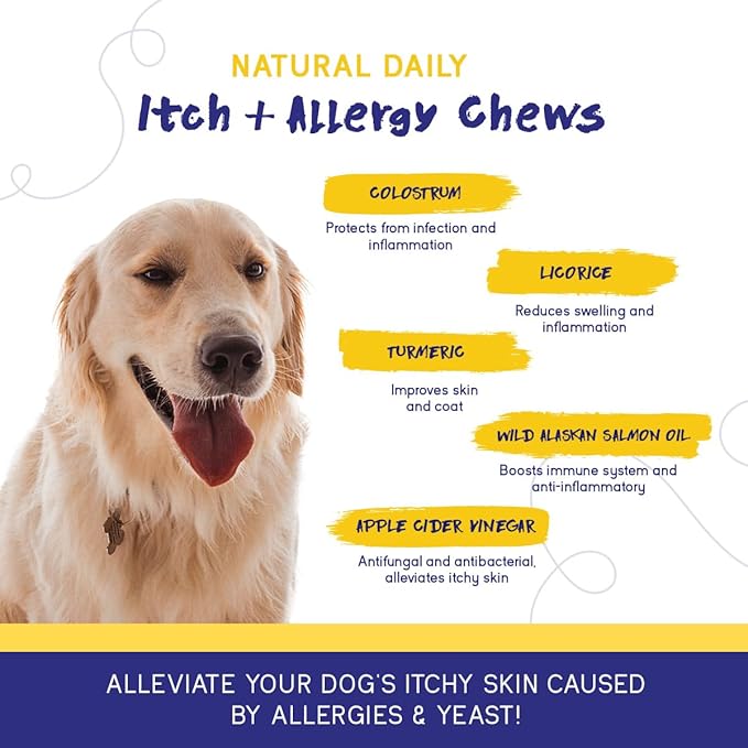 PupGrade Itch & Allergy Chew Supplement for Dogs Improved Immune Support & Seasonal Allergies with Alaskan Salmon Fish Oil - Helps with Anti-Itch - 60 Soft Chews-Mewly Pet