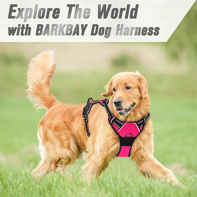 BARKBAY No Pull Dog Harness Front Clip Heavy Duty Reflective Easy Control Handle for Large Dog Walking(Pink,M)-Mewly Pet