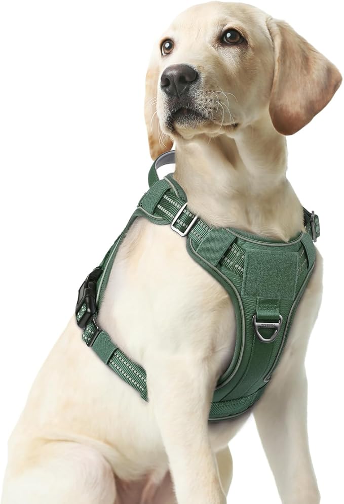 rabbitgoo Dog Harness Medium Sized No Pull, Tactical Service Pet Vest with Molle and Control Handle, Adjustable and Reflective Military Harness for Easy Walking and Training, Green, M-Mewly Pet