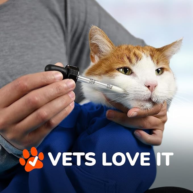 Cozy Comfort Carrier - X-Small Cobalt Blue Cat Carrier Soft for Grooming, Vet Visits, Medication Administration, Dental Care, Nail Trimming, and Car Travel-Mewly Pet