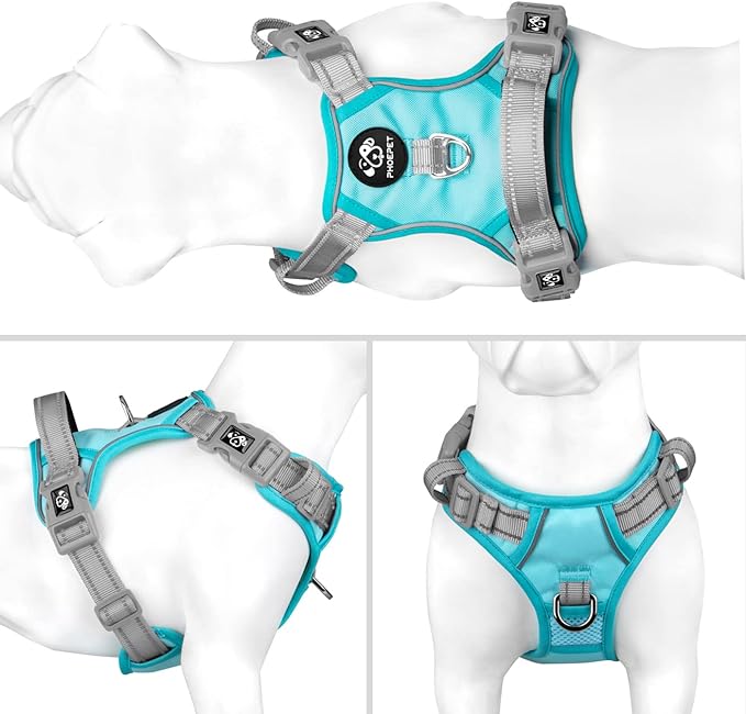 PHOEPET No Pull Dog Harness, Unique Colors Reflective Adjustable Dog Vest, with Soft Training Handle Metal Clips for Small Medium Large Dogs (Mint Green Base & Grey Straps,S)-Mewly Pet