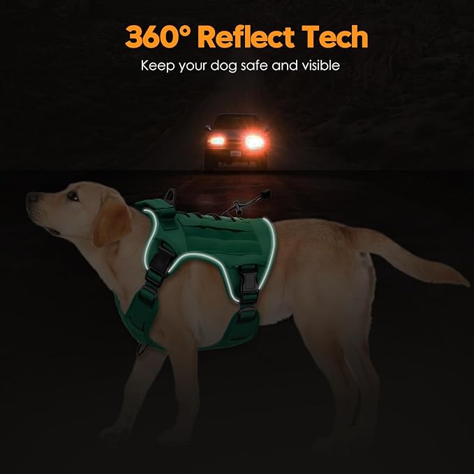 Heavy-Duty Tactical Dog Harness for Large Dogs, No Pull Adjustable Reflective Pet Vest with Molle System, K9 Military-Grade Control for Service Training, Outdoor & 10+ Breeds, Turquoise, X-Large-Mewly Pet