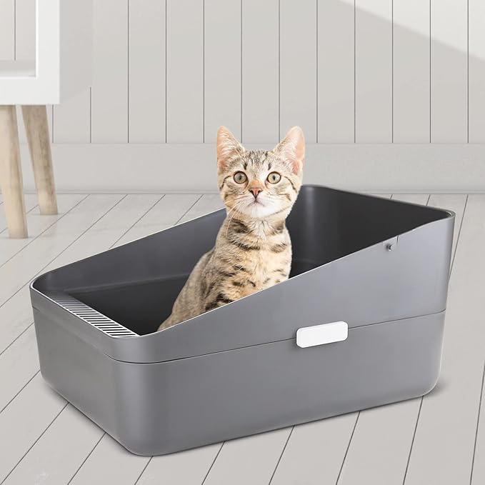 Sfozstra Cats Litter Box Low: Open Sifting Design -Tracking Space Saving - Grey Small Litter Box for Kittens up to 8 lbs-Mewly Pet