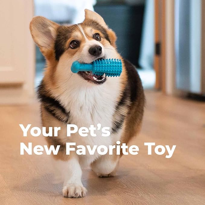 Oxyfresh Dog Dental Chew Toy - Best Durable Rubber Dog Toy for Tough Chewers – Helps Remove Plaque, Cleans Teeth & Freshens Breath Without Brushing (Large)-Mewly Pet