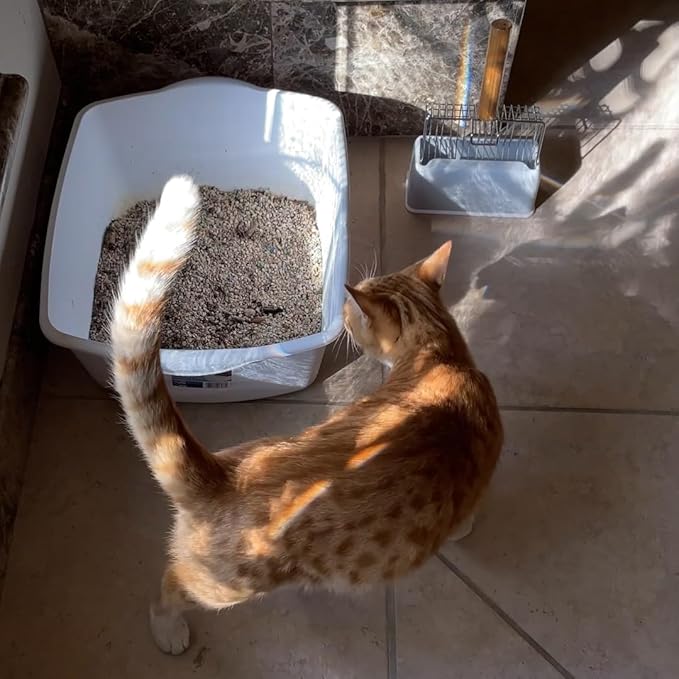 UFECODO Fast Sifting Cat Litter Scoop with Holder Stand, 2 Widths of Slots Stainless Steel Poop Scooper with Ergonomic Wood Handle, Heavy Duty and Easy Clean-Mewly Pet