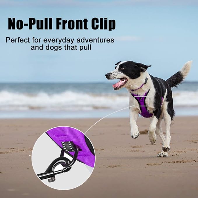 PoyPet No Pull Dog Harness, Reflective Comfortable Vest Harness with Front & Back 2 Leash Attachments and Easy Control Handle Adjustable Soft Padded Pet Vest for Small to Large Dogs (Purple,M)-Mewly Pet
