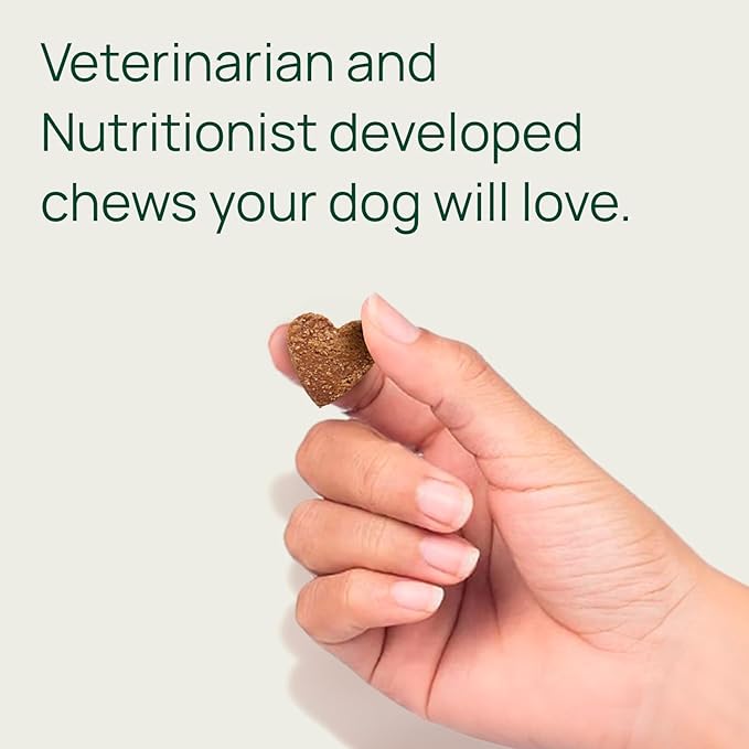 pawTree Joint & Hip Support Supplement for Dogs & Cats with Glucosamine, Chondroitin, MSM, Tumeric & Green Lipped Mussels - Vitamins & Health Essentials - All-Natural Mobility Soft Chews-Mewly Pet