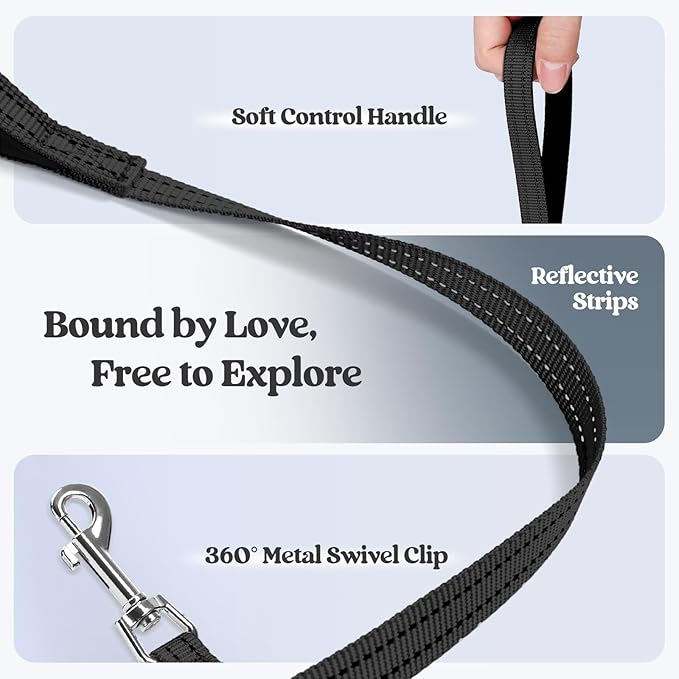 rabbitgoo Dog Harness Small Sized and Leash Set, Step in Soft Light Puppy Vest, Breathable Mesh Pet Harness, Reflective for Safe Easy Walking, Black XXS-Mewly Pet